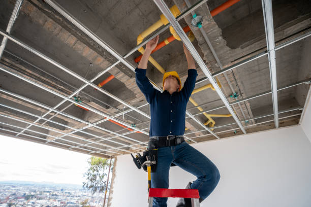 Best Plumbing Services Near Me  in Aspen, CO